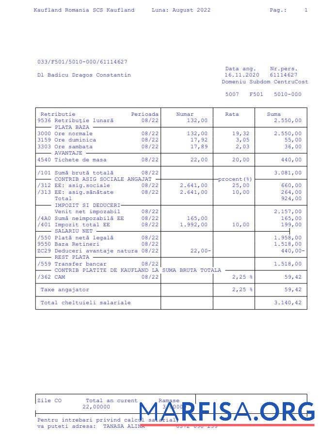 Realistic Kaufland Romania SCS Paystub download for verification